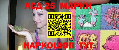 индика Владикавказ