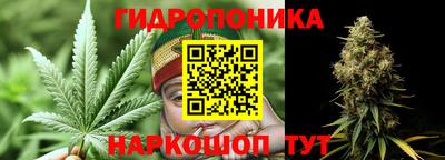 индика Владикавказ