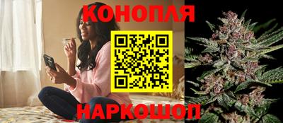 индика Владивосток