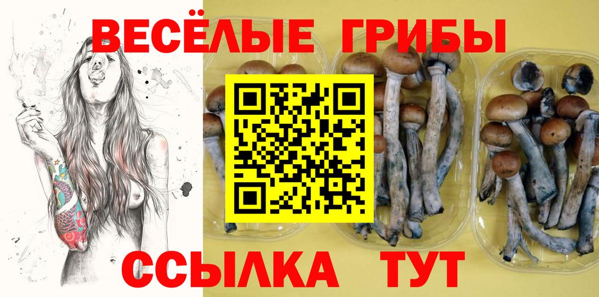ГАШИШ Губкин