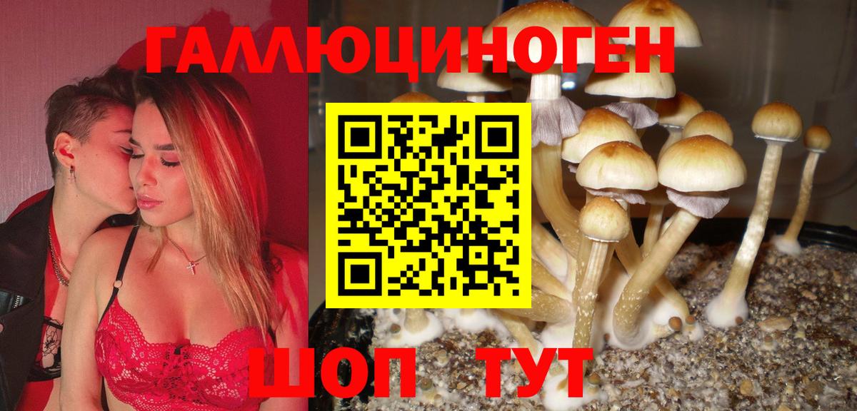 Галлюциногенные грибы MAGIC MUSHROOMS Губкин
