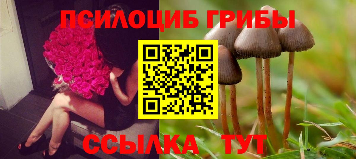 Псилоцибиновые грибы мицелий  Псилоцибиновые грибы Psilocybine cubensis  Губкин  Вход с VPN 